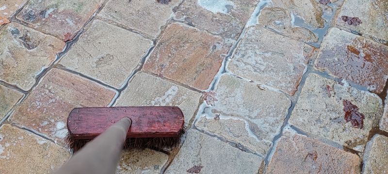 Brush Management