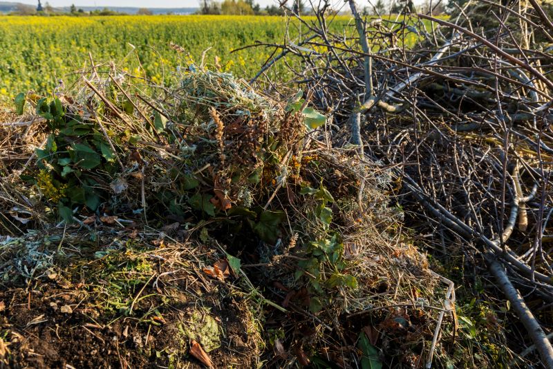Spring Brush Management