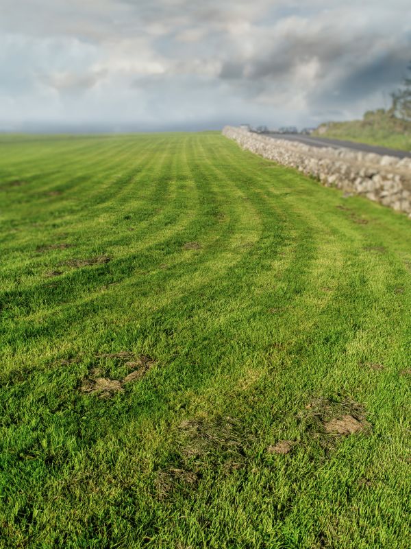 Brush Mowing Service in Prince Georges County, MD