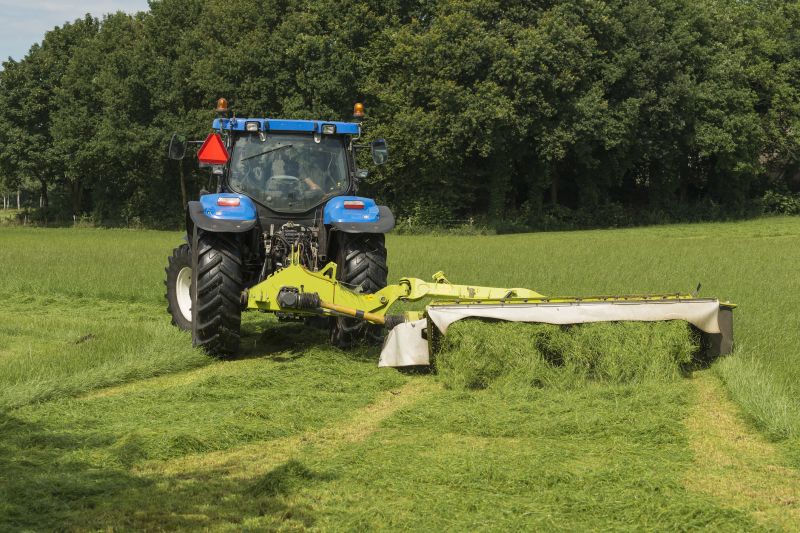 Brush Mowing Service in Waldorf, MD
