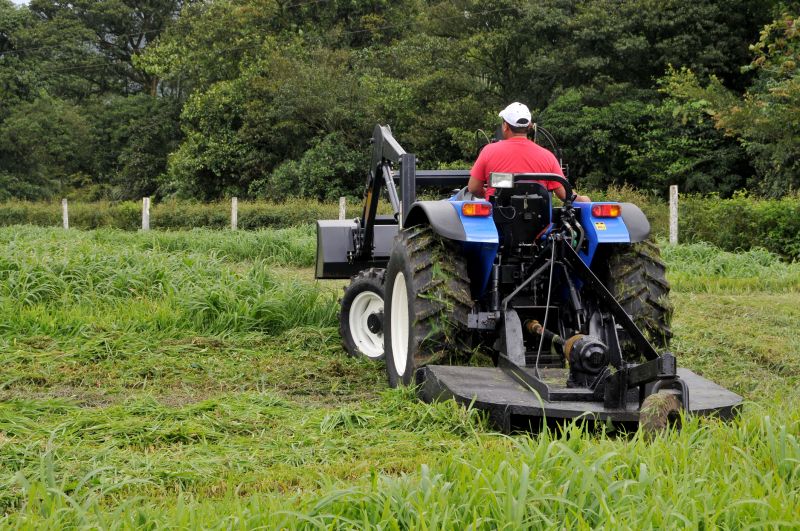 Bush Hogging Service in Prince Georges County, MD