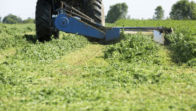 Tractor Mowing in Duluth, MN