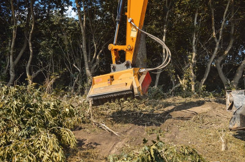 Brush Management Service